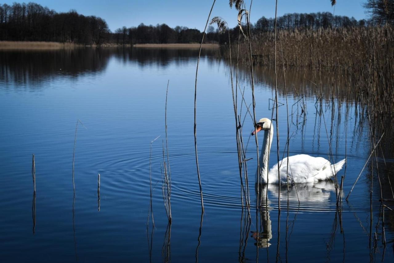 Pokoje Lotnik Nad Jeziorem Mrągowo Dış mekan fotoğraf